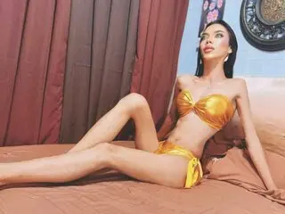 Toy webcam SidneyMorens